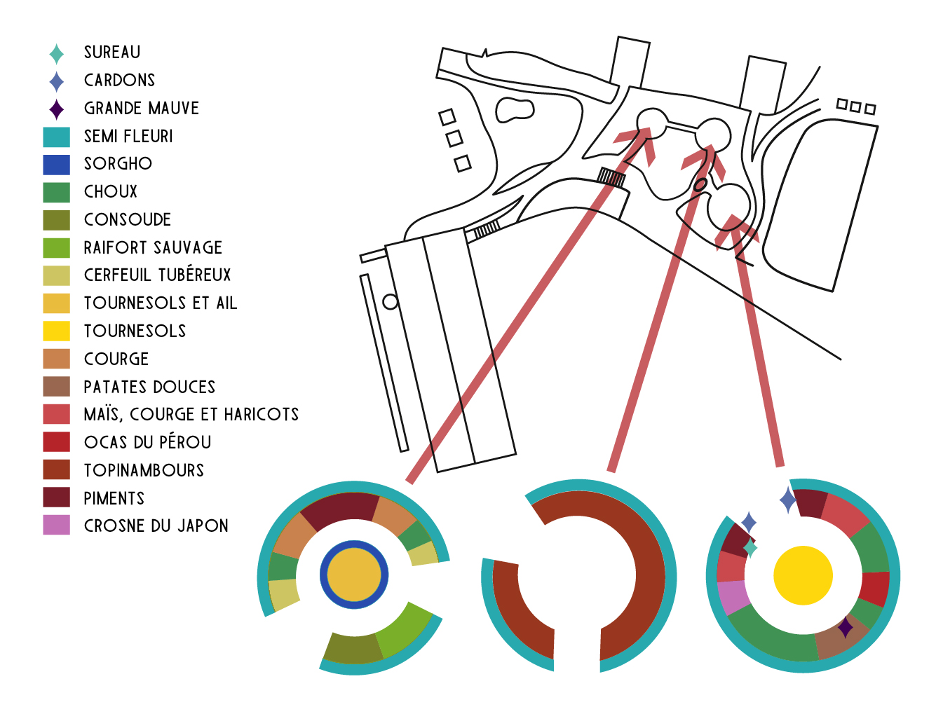 plan-irrigation-brut